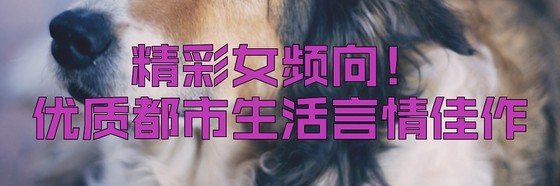 精彩女頻向！優質都市生活言情佳作